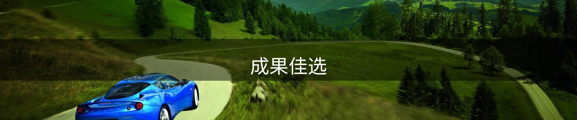 成果佳选