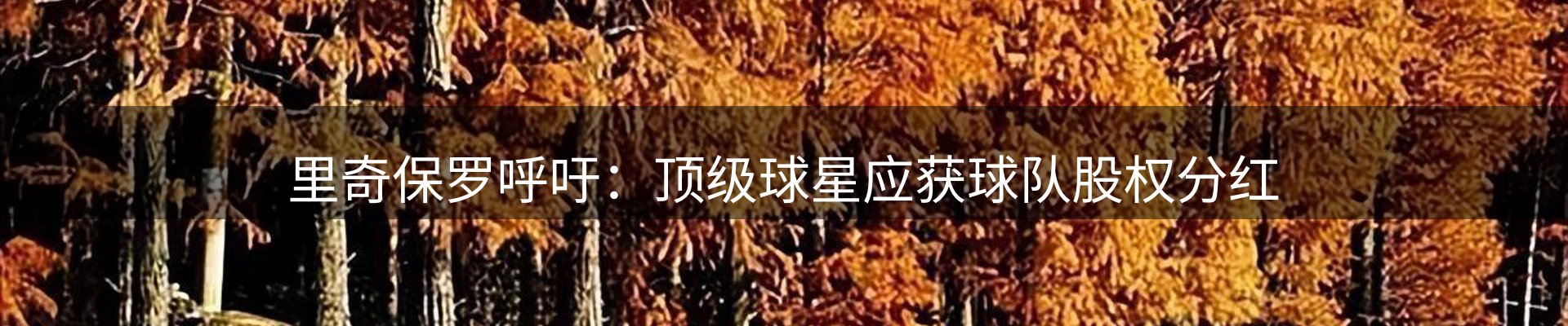 行业消息